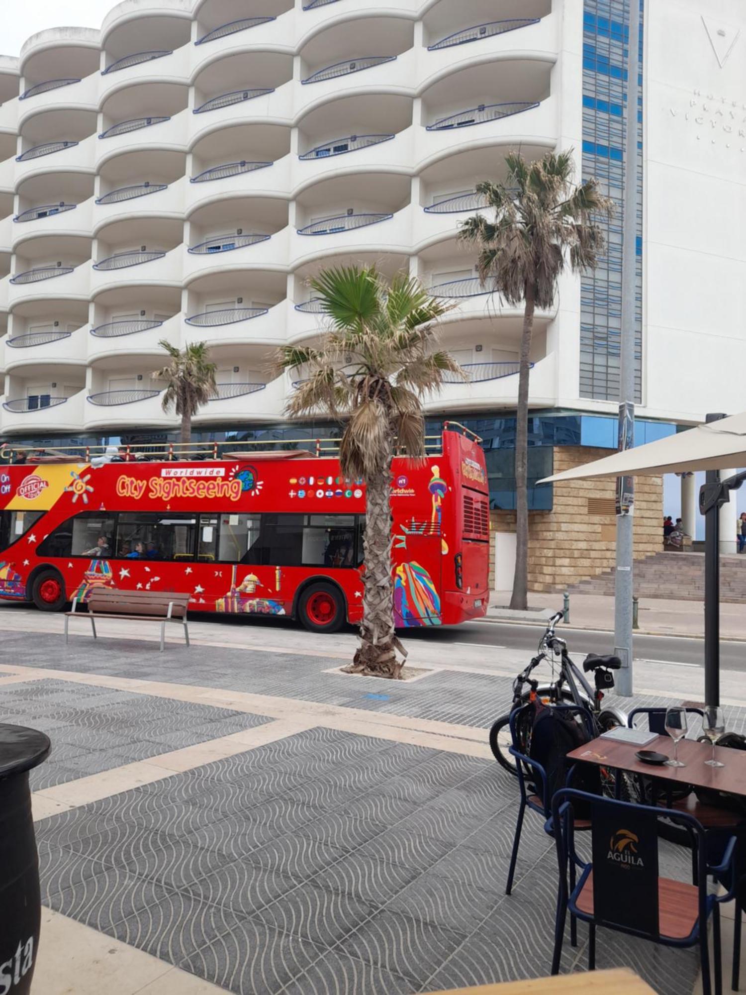Estudio Carmen * Cadiz